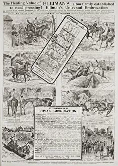 Cure All Collection: Advertisement for Ellimans Universal Embrocation in a 1907 edition of The Graphic