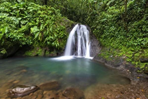 Refreshes Collection: Cascades aux Ecrevisses in a tropical forest on Basse-Terre, Guadeloupe, French West Indies