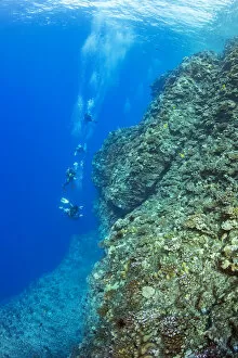Dave Fleetham Underwater Photography Collection: Divers on Backwall, Molokini, Hawaii, USA