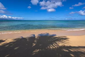 Travel and Culture Collection: Palm Tree Shadow On a Sandy Beach, Guadeloupe, French West Indies
