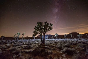 Update - March 23, 2022 Mouse Mat Collection: Stars and the Milky Way over a Joshua Tree, Joshua Tree National Park, California, USA