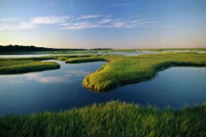 MIichael Melford Greetings Card Collection: The tidal flats of Nauset Marsh in Eastham