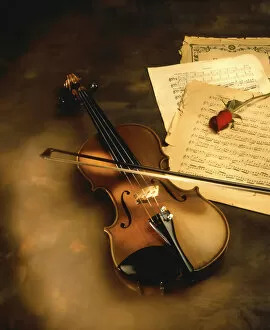 10001 20000 Collection: Violin, Sheet Music, and Rose