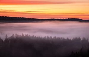 Aerial Views Fine Art Print Collection: Scenic foggy landscape with mood forest at summer morning at National park, Finland