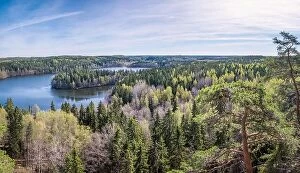Nature-inspired paintings Poster Print Collection: Scenic forest landscape with lake and trees at bright sunny spring day in Finland